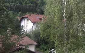 Appartemant Steineberg